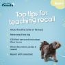 Picture of Coachi Puppy & Mini Waterproof Training Line - Teal 2.5m x 1