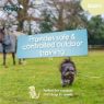 Picture of Coachi Puppy & Mini Waterproof Training Line - Teal 2.5m x 1