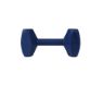 Picture of Coachi Training Dumbbell Large x 1