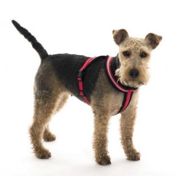 Picture of Company of Animals Comfy Harness XXL (Chest 84-120cm) Red