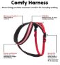 Picture of Company of Animals Comfy Harness XXL (Chest 84-120cm) Red