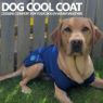 Picture of Ancol Cooling Dog Vest Medium 14"-18" x 1