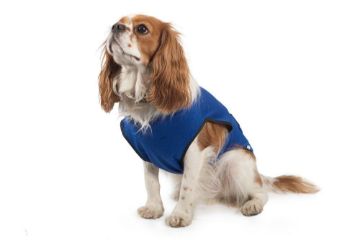 Picture of Ancol Cooling Dog Vest X-Small 8"-12" x 1