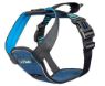 Picture of Company of Animals CarSafe Crash Tested Harness Large x 1