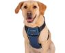 Picture of Company of Animals CarSafe Crash Tested Harness Large x 1