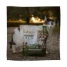 Picture of Eden Cat Feline Feast Duck & Sardine 1.5kg