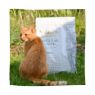 Picture of Eden Cat Original Cuisine 4kg