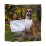 Picture of Eden Dog Semi-Moist Duck & Tripe Medium Kibble 2kg