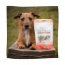 Picture of Eden Salmon, Apple & Spinach Small Sausages 10pc x 1