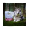Picture of Eden Dog Semi-Moist Salmon & Quail Medium Kibble 2kg