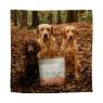 Picture of Eden Dog Semi-Moist Salmon & Quail Medium Kibble 2kg