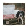 Picture of Eden Dog Semi-Moist Salmon & Quail Medium Kibble 2kg
