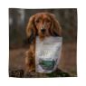 Picture of Eden Chicken & Thyme Dog Training Treats 80g x 1