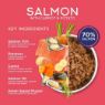 Picture of Fish4Dogs Cans Salmon with Carrot & Potato 395g x 6