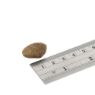 Picture of Fish4Dogs Finest Adult White Fish Large Kibble 6kg