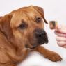 Picture of Fish4Dogs Love Salmon Cubes 85g x 10