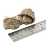 Picture of Fish4Dogs Dental Sea Jerky Fish Knots 100g x 10