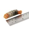 Picture of Fish4Dogs Love Sweet Potato Fish Wraps 100g x 10