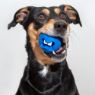 Picture of ROGZ Fred Medium Treat Ball Pink 2½" x 1