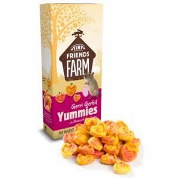 Picture of Tiny Friends Farm Geri Gerbil Yummies x 4