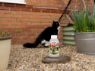 Picture of Get Off Scatter Granules 500ml x 1