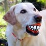 Picture of ROGZ Grinz Medium Ball Orange 2½" x 1