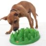 Picture of Company of Animals Green Interactive Feeder x 1