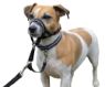 Picture of Halti Headcollar Black Size 0 x 1