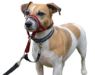 Picture of Halti Headcollar Red Size 1 x 1