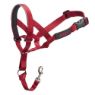Picture of Halti Headcollar Red Size 3 x 1