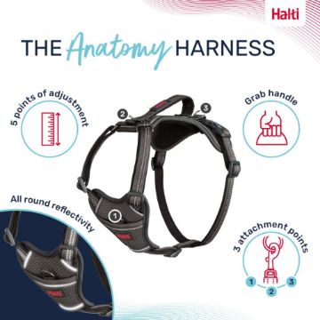 Picture of Halti Anatomy Harness X-Small Grey x 1