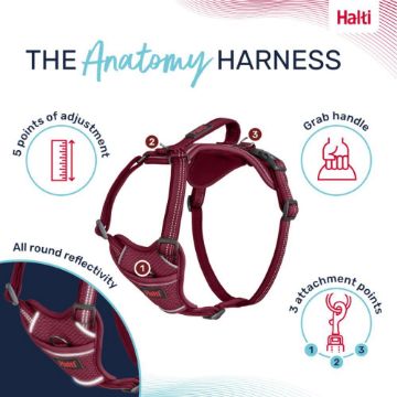 Picture of Halti Anatomy Harness X-Small Magenta x 1