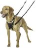 Picture of Halti No Pull Harness Medium x 1