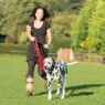 Picture of Halti Nylon Training Lead Small Red 15mm x 2m x 1