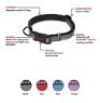 Picture of Halti Comfort Collar Medium 35-50cm Black x 1