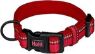 Picture of Halti Comfort Collar Medium 35-50cm Red x 1