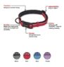 Picture of Halti Comfort Collar Medium 35-50cm Red x 1