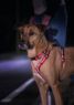 Picture of Halti Walking Harness Large 68-100cm Red x 1