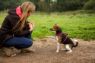 Picture of Halti Walking Harness Medium 56-76cm Red x 1