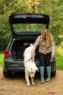 Picture of Halti Walking Harness Small 43-60cm Black x 1