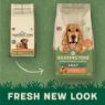 Picture of Harringtons Adult Dog Chicken & Rice 1.7kg