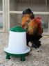 Picture of Supa Hassop Indoor Poultry Feeder 6kg x 1