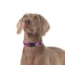 Picture of ROGZ Fancy Dress Collar Pink Love Large 34-56cm x 1