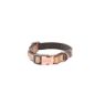 Picture of ROGZ URBAN Classic Dog Collar Gold Rush X Small 