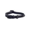 Picture of ROGZ Amphibian Classic Collar Black Medium