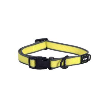 Picture of ROGZ Amphibian Classic Collar Dayglo Medium