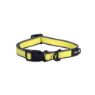Picture of ROGZ Amphibian Classic Collar Dayglo Medium