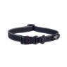 Picture of ROGZ Amphibian Classic Collar Black Large