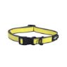 Picture of ROGZ Amphibian Classic Collar Dayglo Large