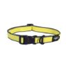 Picture of ROGZ Amphibian Classic Collar Dayglo XL
